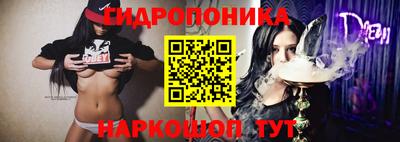 стаф Камышлов