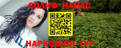стаф Камышлов